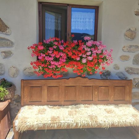 Hotel Радкината Къща Koprivshtitsa Esterno foto