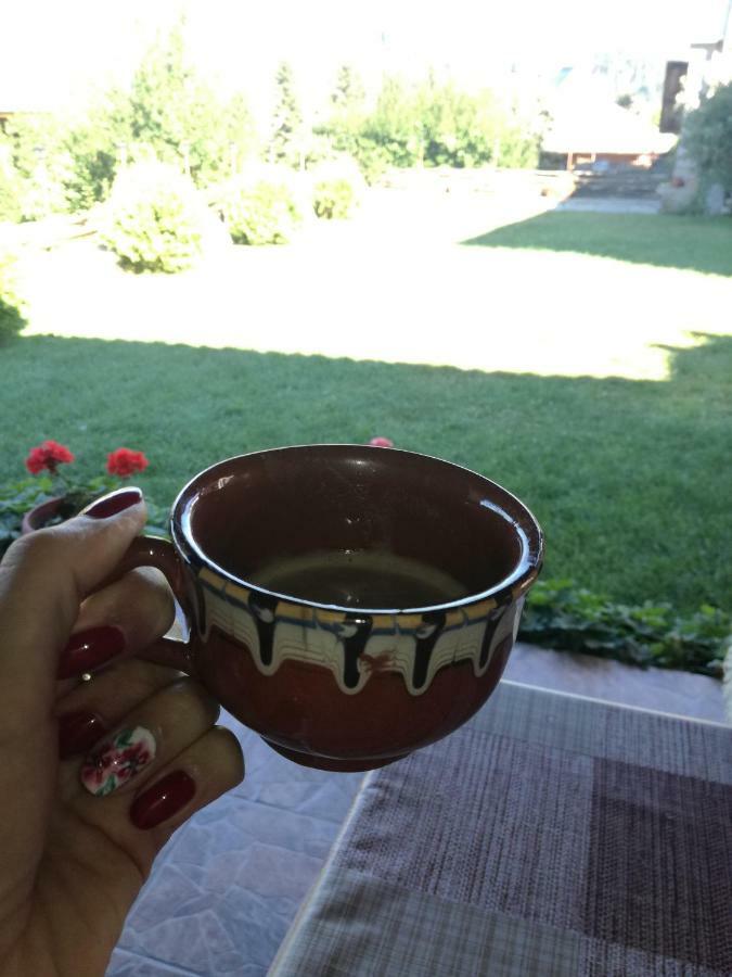 Hotel Радкината Къща Koprivshtitsa Esterno foto